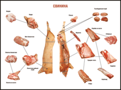 Таблица "Правила разделки мясных туш. Свинина" (100х140 сантиметров. винил) - fgospostavki.ru - Апатиты