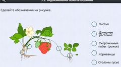 Интерактивные курсы. Биология 7 класс. Расширенный. - fgospostavki.ru - Апатиты
