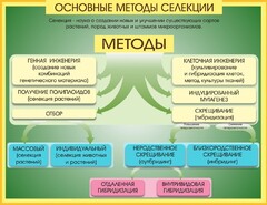 Стенд "Методы селекции и биотехнологии" - fgospostavki.ru - Апатиты
