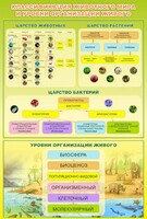 Стенд "Классификация животного мира" - fgospostavki.ru - Апатиты
