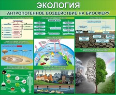 Стенд "Экология. Антропогенное воздействие на биосферу" - fgospostavki.ru - Апатиты