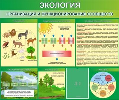 Стенд "Экология. Организация и функционирование сообществ" - fgospostavki.ru - Апатиты