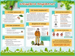 Стенд "Клещевой энцефалит" - fgospostavki.ru - Апатиты