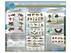 Стенд "Как выжить в суровых условиях" - fgospostavki.ru - Апатиты