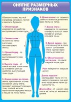 Стенд "Снятие мерок" Вариант 2 - fgospostavki.ru - Апатиты
