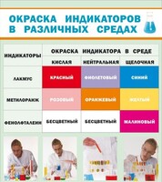 Стенд "Окраска индикаторов в различных средах" - fgospostavki.ru - Апатиты