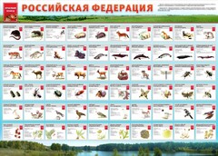 Стенд "Красная книга РФ" - fgospostavki.ru - Апатиты