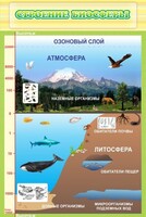 Стенд "Строение биосферы" - fgospostavki.ru - Апатиты