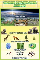 Стенд "Уровни организации живого" - fgospostavki.ru - Апатиты