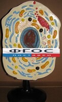 Модель "Клетка животного" - fgospostavki.ru - Апатиты