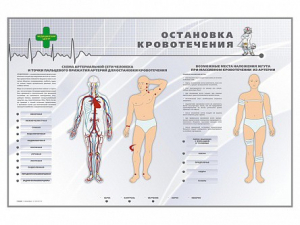 Электрифицированный стенд "Остановка кровотечения" - fgospostavki.ru - Апатиты