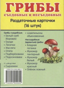 Раздаточные карточки "Грибы съедобные и не съедобные" - fgospostavki.ru - Апатиты