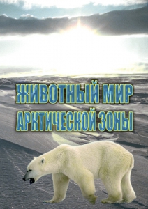 DVD "Животный мир Арктической зоны" - fgospostavki.ru - Апатиты