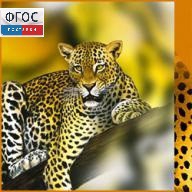 Зоология. (Цифровая база изображений) - fgospostavki.ru - Апатиты