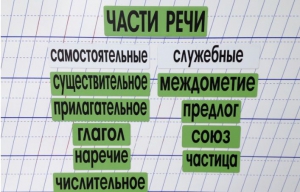 Набор магнитных карточек "Части речи" (фон зелёный) - fgospostavki.ru - Апатиты