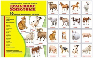 Демонстрационные карточки "Домашние животные" - fgospostavki.ru - Апатиты