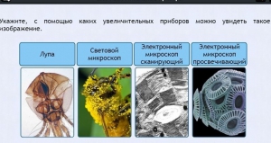 Интерактивные курсы. Биология 5 класс. Расширенный - fgospostavki.ru - Апатиты