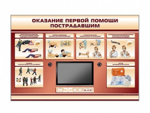 Многофункциональный интерактивный стенд-тренажер "Оказание первой помощи пострадавшим" для учащихся общеобразовательных учреждений - fgospostavki.ru - Апатиты