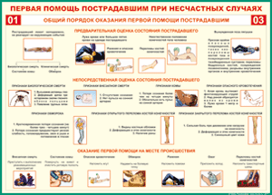 Таблица "Общий порядок оказания первой помощи пострадавшим" (100х140 сантиметров, винил) - fgospostavki.ru - Апатиты