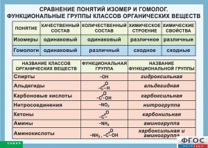 Таблица. Сравнение понятий изомер и гомолог. Функциональные группы классов органических веществ. - fgospostavki.ru - Апатиты