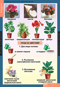 Комплект таблиц. Окружающий мир 1 класс. - fgospostavki.ru - Апатиты