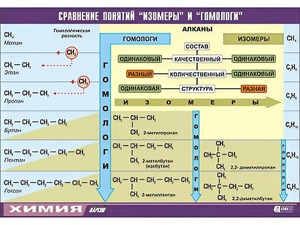 Таблица демонстрационная "Сравнение понятий изомер и гомолог" (винил 70x100) - fgospostavki.ru - Апатиты