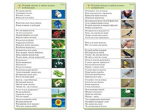 Комплект карточек (10) "Обучающий калейдоскоп. Природа" - fgospostavki.ru - Апатиты