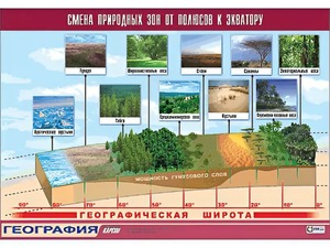 Таблица демонстрационная "Смена природных зон от полюсов к экватору" (винил 70*100) - fgospostavki.ru - Апатиты