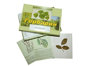 Гербарий "Дикорастущие растения" (30 видов, с иллюстрациями) - fgospostavki.ru - Апатиты
