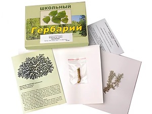 Гербарий "Водоросли. Грибы. Лишайники" (раздаточный) - fgospostavki.ru - Апатиты