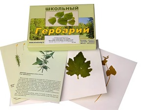 Гербарий "Систематика растений. Высшие споровые и семенные" (раздаточный) - fgospostavki.ru - Апатиты