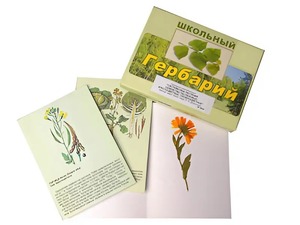 Гербарий "Систематика растений. Семейство Пасленовые. Крестоцветные. Сложноцветные" (раздаточный) - fgospostavki.ru - Апатиты