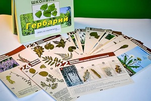 Гербарий к курсу основ общей биологии - fgospostavki.ru - Апатиты