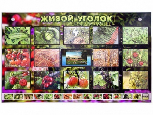Комплект оборудования "Живой уголок" (растения) с тифлопереводом и сурдокомментариями - fgospostavki.ru - Апатиты