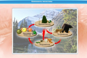 Интерактивные курсы. Биология 7 класс. Базовый. - fgospostavki.ru - Апатиты
