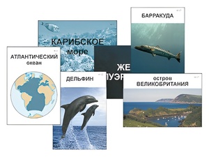 Модель-аппликация "Океаны. Знакомство" (ламинированная) - fgospostavki.ru - Апатиты