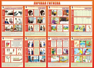 Стенд "Личная гигиена" - fgospostavki.ru - Апатиты