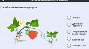 Интерактивные курсы. Биология 7 класс. Расширенный. - fgospostavki.ru - Апатиты