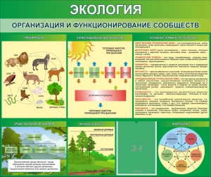 Стенд "Экология. Организация и функционирование сообществ" - fgospostavki.ru - Апатиты