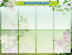 Стенд "Информация" Вариант 13 - fgospostavki.ru - Апатиты