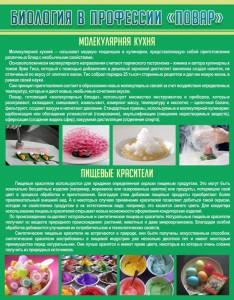 Стенд "Биология в профессии "повар"" - fgospostavki.ru - Апатиты
