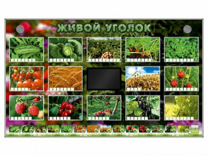 Комплект оборудования "Живой уголок" (растения) - fgospostavki.ru - Апатиты