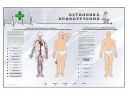 Электрифицированный стенд "Остановка кровотечения" - fgospostavki.ru - Апатиты