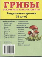 Раздаточные карточки "Грибы съедобные и не съедобные" - fgospostavki.ru - Апатиты