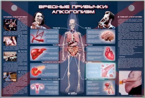 Электрифицированный стенд "Вредные привычки: алкоголизм" - fgospostavki.ru - Апатиты