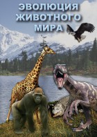 DVD "Эволюция животного мира" - fgospostavki.ru - Апатиты