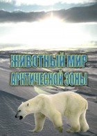 DVD "Животный мир Арктической зоны" - fgospostavki.ru - Апатиты