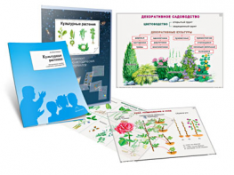 Комплект кодотранспарантов "Культурные растения" - fgospostavki.ru - Апатиты