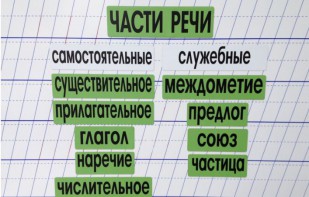 Набор магнитных карточек "Части речи" (фон зелёный) - fgospostavki.ru - Апатиты