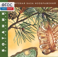 Ботаника. Микрофотографии. (Цифровая база изображений) - fgospostavki.ru - Апатиты